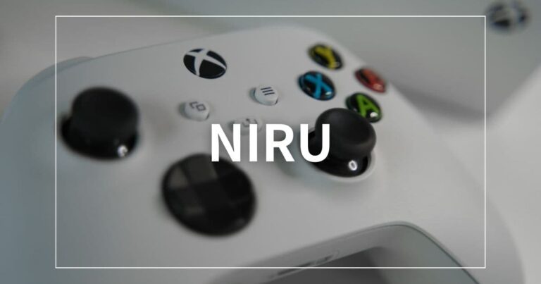 NIRU(ニル)を徹底解剖！顔バレの噂、年齢、親孝行、Apexの神、コントローラーの感度を網羅してみた！ | 宅スポPC